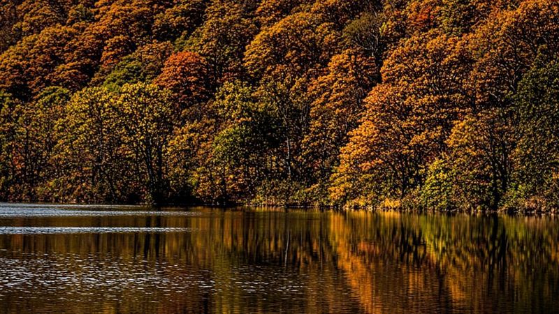 Autumn Reflections — desktop wallpaper